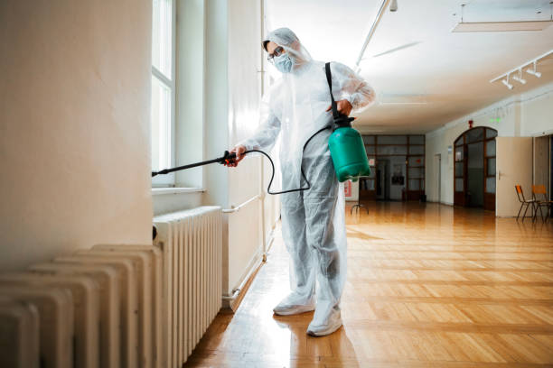 Professional Pest control in Albers, IL